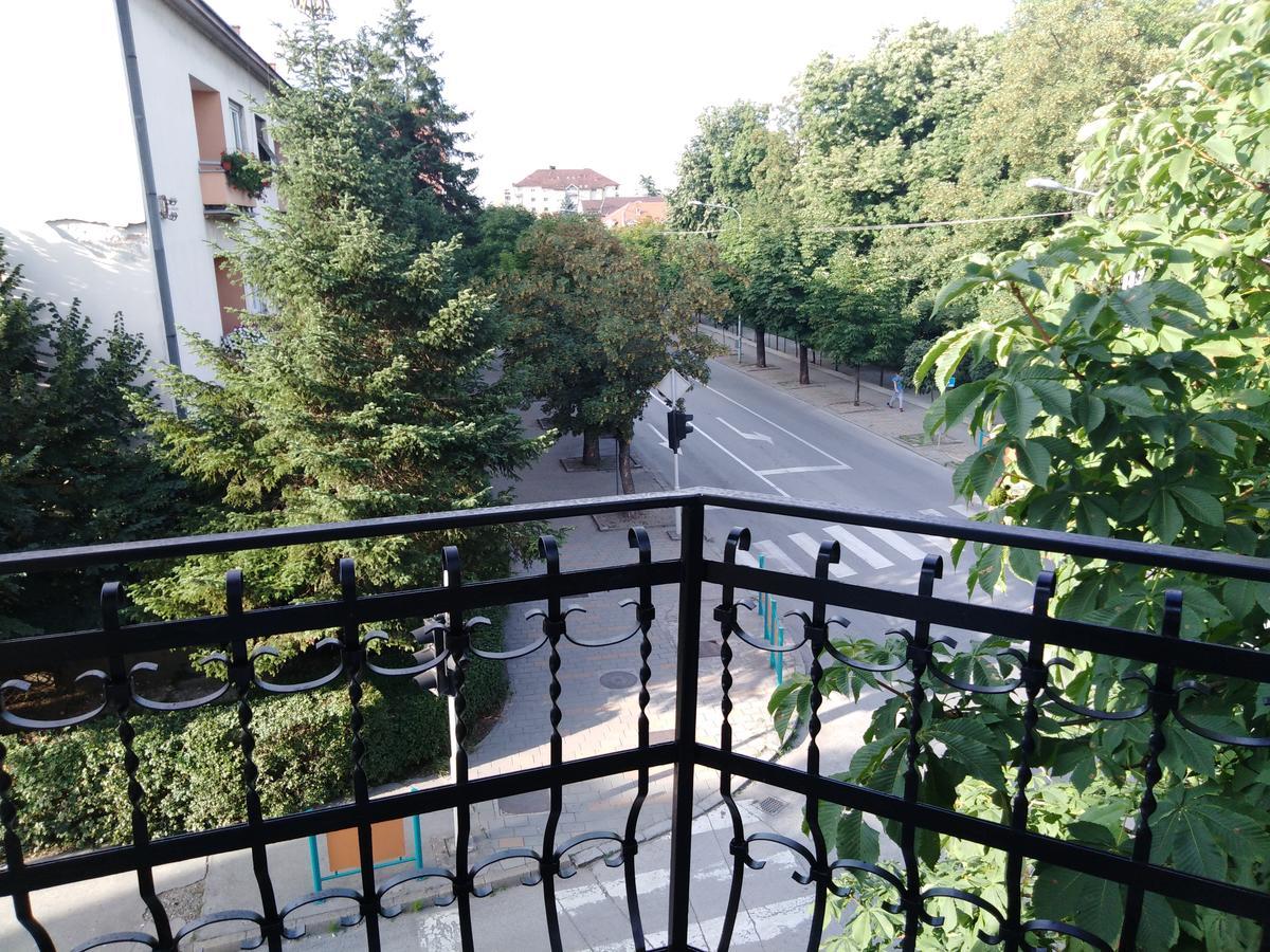 Veliki Park Villa Sabac Exterior photo